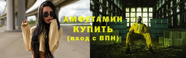 гидра Горнозаводск