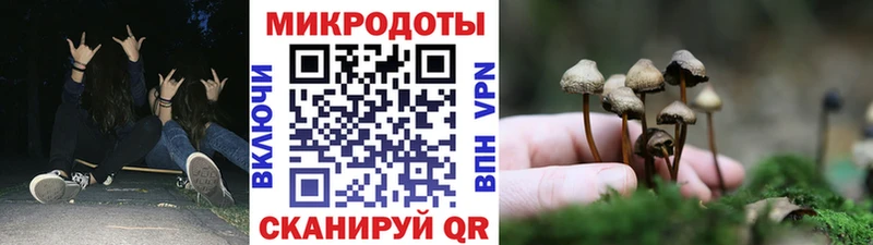 Псилоцибиновые грибы Magic Shrooms  Красавино 